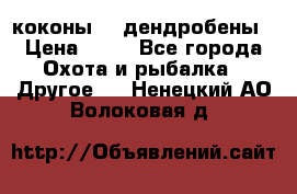 коконы    дендробены › Цена ­ 25 - Все города Охота и рыбалка » Другое   . Ненецкий АО,Волоковая д.